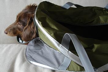 bag1