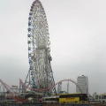 2536ba73.jpg