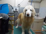 DSCN4773