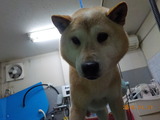 DSCN4829
