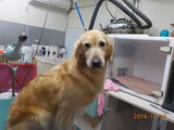DSCN1976