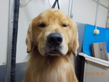 DSCN1117