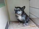 DSCN4807
