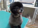 DSCN0955