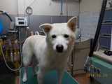 DSCN3590