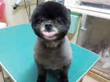 DSCN0951