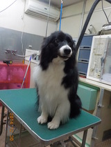 DSCN3742