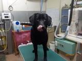 DSCN0985