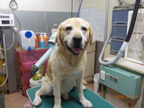 DSCN2908