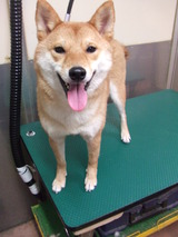 2014年1月28日 021