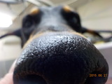 DSCN0908