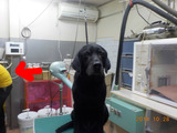 BlogPaint