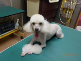 DSCN1074