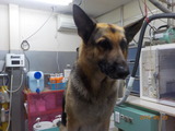 DSCN9562