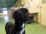 DSCN3462