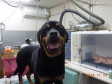 DSCN2565