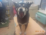 DSCN3667