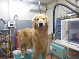 DSCN2550