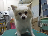 DSCN3438