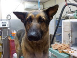 DSCN5585
