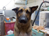 DSCN5588