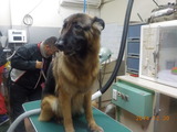 DSCN3698