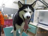 DSCN3605