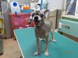 DSCN0879