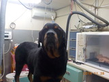 DSCN2573