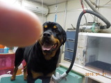 DSCN4817