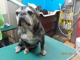 DSCN5761