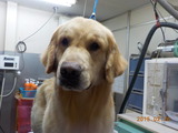 DSCN5681