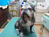 DSCN0867