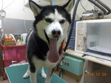 DSCN3606
