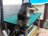 DSCN9427