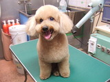 2014年1月28日 032