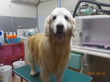 DSCN0781
