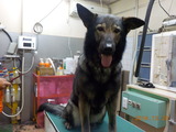 DSCN3580