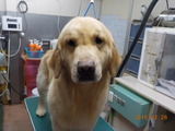 DSCN5677