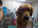 DSCN2860