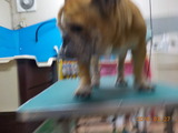 DSCN5753
