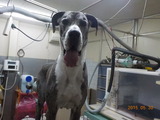 DSCN9632