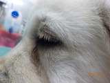 DSCN0848