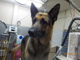 DSCN0998