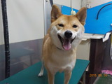 DSCN9575
