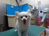 DSCN2914