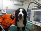 DSCN3549