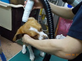 DSCN0971