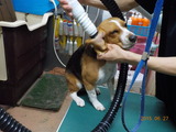 DSCN0967