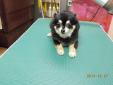 DSCN3451